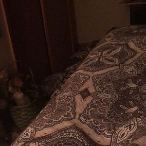 Meet your Posher, Christopher